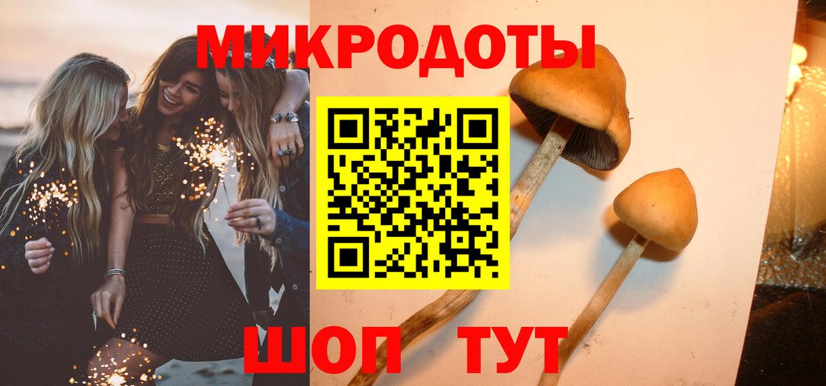 Губаха  Галлюциногенные грибы прущие грибы  Вход с VPN 